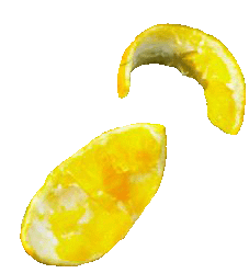 orange rinds