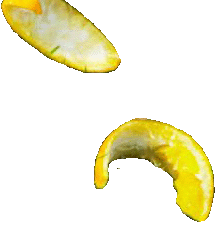 orange rinds